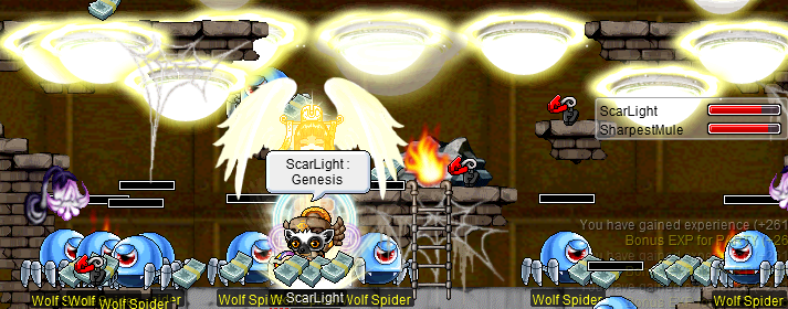 what are maplestory private servers